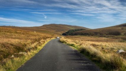 White car on a black narrow road leading through a valley with peatbog and forest in Wicklow Mountains, Ireland