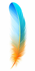 macaw tail feather in blue to red natural coloring