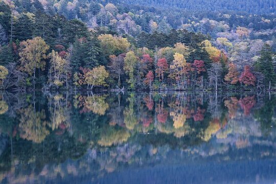 Hokkaido, Japan - October 14, 2023: Autumn leaves at Lake Onneto in Hokkaido, Japan
