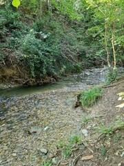 Obraz premium art, nature, graffiti, terre, verdure, couleur, oeuvre