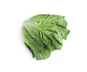 Fresh green romaine lettuces isolated on white, top view