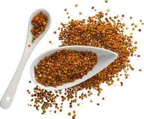 LAYER-LAB_1902208177_LC