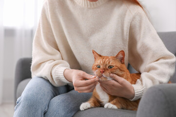 Woman giving vitamin pill to cute cat on sofa indoors, closeup