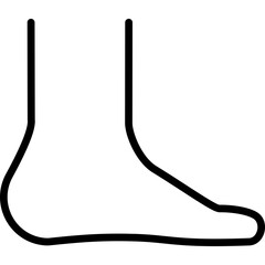 foot, foot anatomy