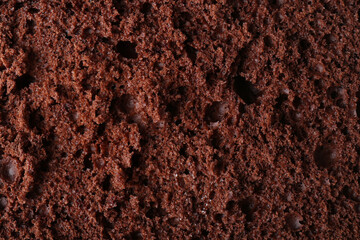 Tasty chocolate sponge cake as background, closeup