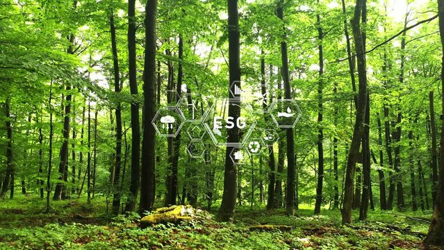 Beautiful green forest landscape with ESG icons animation. Concept ecology.
