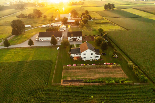 Hot Air Balloon Rides 