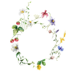 Watercolor floral frame of meadow flowers, poppies, cornflowers, chamomiles, clover and raspberries. Hand painted illustration isolated on white background. For design, print, fabric or background.