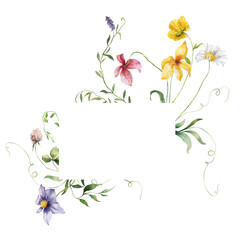 Watercolor floral frame of meadow flowers, chamomiles, cornflowers, lavender and clovers. Hand painted illustration isolated on white background. For design, print, fabric or background.