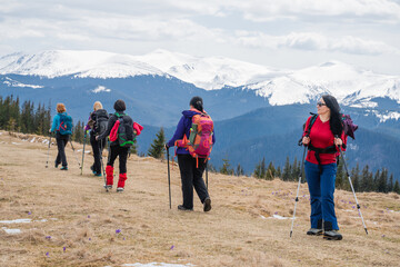 Female hikers in mountains during saffron blooming at spring