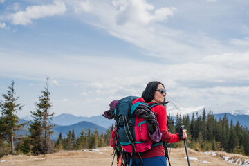 Group of female hikers in mountains during saffron blooming at spring