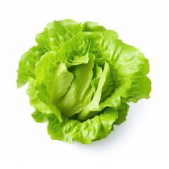 A close up of a lettuce on a white surface