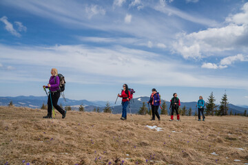 Female hikers in mountains during saffron blooming at spring