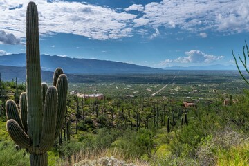 Majestic 4K View: Saguaro Cactus Mountain Landscape, Tucson, Arizona National Park