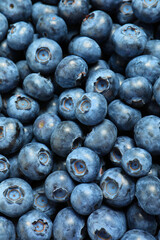 Tasty fresh blueberries as background, top view