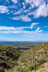 Spectacular 4K View: Saguaro Cactus Mountain Landscape in Tucson, Arizona National Park