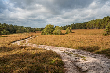 Misselhorner Heide