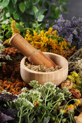 Mortar with pestle and many different herbs on table