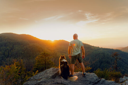 The man and best friend dog husky enjoy the time in a sunset on the mountain. 