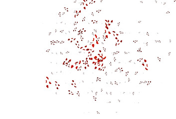 Light Red vector background with abstract forms.