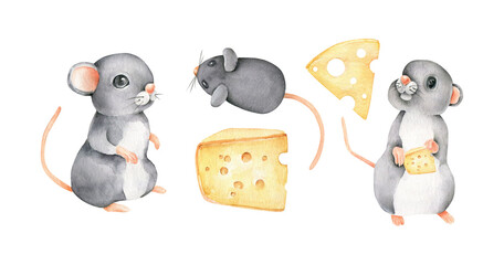 mouse and cheese