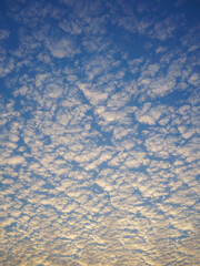 Morning Bliss: Little Altocumulus Clouds in the Blue Sky