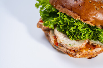 close-up on light surface, various hamburgers, meat, fish and tuna hamburgers for restaurant menu on white background. Isolated, close-up view