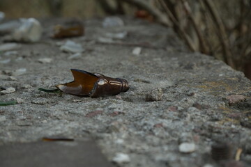 Broken glass on a concrete construction