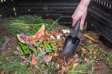 A woman's hand with a garden trowel managing compost in the garden.