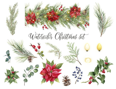 Watercolor Christmas floral illustration, transparent background. Poinsettia border,  winter greenery for  card. Hand painted pine tree branches, holly, red berries, eucalyptus leaves, christmas light