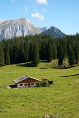 Fototapeta na wymiar Almhütte auf großer Wiese mit Berg im Hintergrund