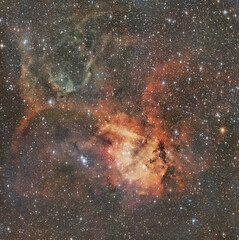 Campo full frame cielo stellato Nebulosa Leone
