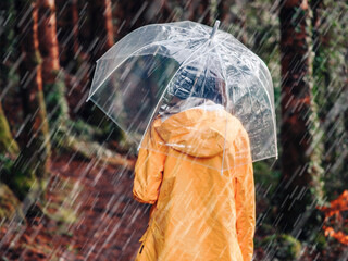 Teenager girl in yellow jacket holding translucent umbrella walking in a forest park in a rain. Outdoor activity and enjoy nature in any weather conditions.