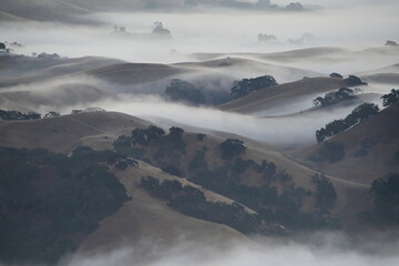mountains in the fog