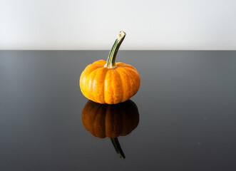 Side view of a pumpkin with large green stem on a black surface with mirror like reflection and a white wall behind. - Powered by Adobe