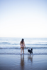 dog looking at his owner while bathing in the sea