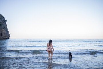 dog looking at his owner while bathing in the sea