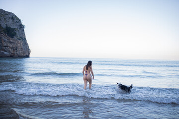 dog looking at his owner while bathing in the sea