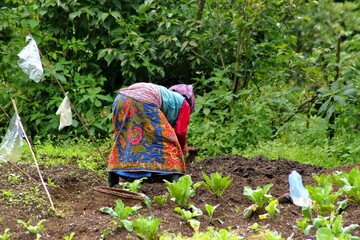 A green thumb