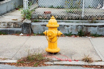 fire hydrant stands on a city sidewalk, symbolizing safety, preparedness, and emergency response,...