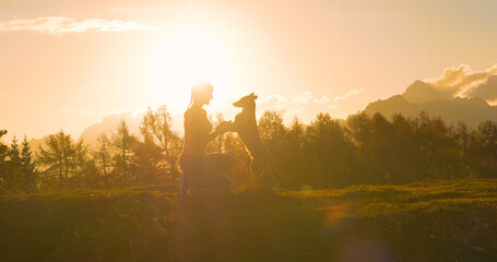 SILHOUETTE, LENS FLARE: Happy young lady on a mountaintop with her dog at sunset - obrazy, fototapety, plakaty