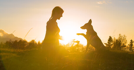 CLOSE UP, LENS FLARE Adorable dog gives paw to his smiling owner in golden light