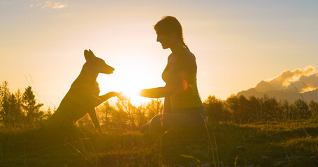 SILHOUETTE, LENS FLARE: Golden autumn sunbeams peek between lady and her dog
