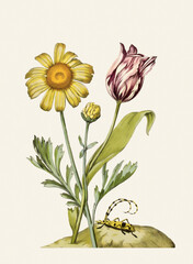Flower Illustration. Digital Victorian Style