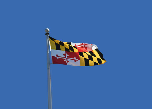 Maryland state flag flying in the daytime