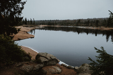 Lake in the forest