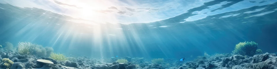 Foto op Plexiglas World ocean wildlife landscape, sunlight through water surface with coral reef on the ocean floor, natural scene. Abstract underwater background © ratatosk