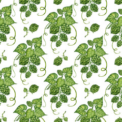 Watercolor illustration of a pattern of a branch of fresh green hops for use in the brewing industry. Isolated malt. Compositions for posters, cards, banners, flyers, covers, playbills and other print