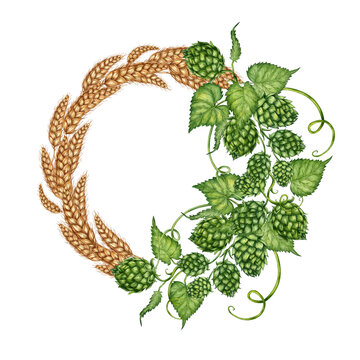 Watercolor illustration of a wreath of ripe dried wheat leaves and green hop cones. Round frame isolated on white background. For menus, banners, poster printing, recipes, labels, packaging design.