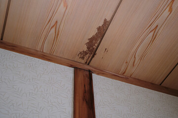和室の天井のシミ